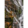 North Carolina Brevard Waterfall in DuPont SF by Jay OBrien (18 x 24)