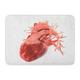 GODPOK Artery Red Anatomy Anatomically Correct 3D Model of Human Heart White Aorta Atrium Rug Doormat Bath Mat 23.6x15.7 inch