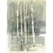 Birch Grove I Poster Print by Avery Tillmon (9 x 12)