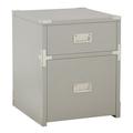 Wellington 2 Drawer Engineered Wood File Cabinet in Gray