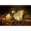 Magnolia On Gold Velvet Cloth Poster Print by Martin Johnson Heade (24 x 18)