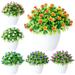 Cheers.US Artificial Succulents Plant Fake Succulent Plants Plastic Mini Potted Faux Succulents for Desk Office Living Room and Home Decoration