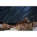 Abandoned farm equipment against a backdrop of equatorial star trails at a location high in the La Sal ï¿½_ï¿½__ï¿½_ï¿½__ï¿½_ï¿½__ï¿½_ï¿½__ï¿½_ï¿½__ Mountains Near Moab Utah Poster Print (34 x 22)