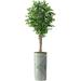 Artificial Tree in Geometric Pattern Planter Fake Ficus Silk Tree for Indoor and Outdoor Home Decoration - 75 Overall Tall (Plant Pot Plus Tree)