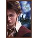 Harry Potter and the Prisoner of Azkaban - Wand One Sheet Wall Poster 22.375 x 34 Framed