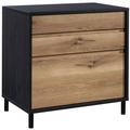 UrbanPro Engineered Wood and Metal 2-Drawer Lateral File in Raven Oak