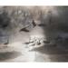 Geese in the mist in Colorados Rocky Mountains by SMO (24 x 18)