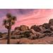 Joshua trees and rocks on a landscape Joshua Tree National Park California USA Poster Print by Panoramic Images (36 x 24)