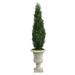 Nearly Natural 5 Cedar Artificial Tree in Sand Finished Urn (Indoor/Outdoor)