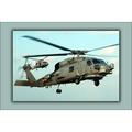 24 x36 Gallery Poster SH-60B SH-60 Seahawk Helicopter and SH-60F Seahawk