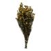 Vickerman 12-22 Aspen Gold Phylica Bundle 5-6 oz Preserved