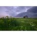 Prairie Wildflowers And An Old Farm Granary Under A Summer Storm In Central Alberta Poster Print (34 x 22)