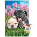 Keith Kimberlin - Bulldog Puppies Wall Poster with Pushpins 14.725 x 22.375