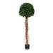 Nearly Natural 5.5 ft. English Ivy Single Ball Artificial Topiary Tree with Natural Trunk UV Resistant