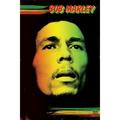 Bob Marley - Face Laminated Poster (24 x 36)