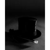 Top hat and magic wand Poster Print (24 x 36)
