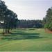 17th Hole At Golf Course Pinehurst Resort Pinehurst Moore County North Carolina USA Poster Print 12 x 12