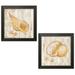 Gango Home Decor Coastal Distressed Beach Decor | Gold & Brown Saint Tropez Shell Nautical by Paul Brent (Ready to Hang); Two 12x12in Black Framed Prints