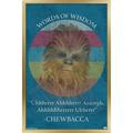 Star Wars: Saga - Chewbacca Quote Wall Poster 22.375 x 34 Framed