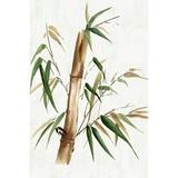 Green Bamboo II by Eva Watts (24 x 36)