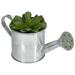 Northlight 4 Echeveria Succulent in Watering Can Artificial Potted Plant - Green/Silver