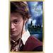 Harry Potter and the Prisoner of Azkaban - Wand One Sheet Wall Poster 14.725 x 22.375 Framed