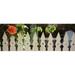 Panoramic Images PPI133612L White picket fence and red hibiscus flower along Whitehead Street Key West Monroe County Florida USA Poster Print by Panoramic Images - 36 x 12