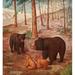 Life Story of a Black Bear 1910 Bear family Poster Print by Unknown (24 x 36)