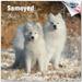 2023 2024 Samoyed Calendar - Dog Breed Monthly Wall Calendar - 12 x 24 Open - Thick No-Bleed Paper - Giftable - Academic Teacher s Planner Calendar Organizing & Planning - Made in USA