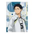 Riapawel Haikyuu Poster 12X16 Inch Cartoon Character Printed Paper Poster Home Decor Wall Art Poster Anime Fans Best Gift