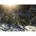 Snow Covered Trees Yoho National Park - British Columbia Canada Poster Print by Keith Levit 38 x 28 - Large