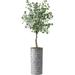 Artificial Tree in Modern Triangel Pattern Planter Fake Eucalyptus Silk Tree for Indoor and Outdoor Home Decoration - 66 Overall Tall (Plant Pot Plus Tree)