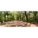 Central Park in the spring time New York City New York State USA Poster Print (30 x 13)