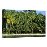 East Urban Home Indonesia Irian Jaya 'Palm Trees Along White Sand Beach' - Photograph Print on Canvas in Green | 16 H x 24 W x 1.5 D in | Wayfair