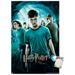 Harry Potter and the Order of the Phoenix - One Sheet Wall Poster 22.375 x 34