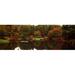 Panoramic Images PPI120522L Reflection of trees in water Japanese Tea Garden Golden Gate Park Asian Art Museum San Francisco California USA Poster Print by Panoramic Images - 36 x 12