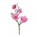 Artificial Magnolia Flowers with Buds Branch Fake Magnolia Blooms Wedding Flowers Floral Stems 19 for Vase Floral Arrangement Table Centerpiece Home Decoration