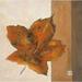 Leaf Impression - Rust Poster Print by Ursula Salemink-Roos (12 x 12)