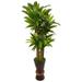 Nearly Natural 5ft. Cornstalk Dracaena Plant in Wooden Planter