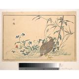 Zhu ji Poster Print by Kuwagata Keisai (Japanese 1764 ï¿½1824) (18 x 24)