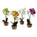 Nearly Natural Phalaenopsis Orchid with Clay Vase Arrangement - Set of 4