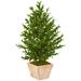 Nearly Natural 35in. Olive Cone Topiary Artificial Tree in Terra Cotta Planter UV Resistant (Indoor/Outdoor) Green