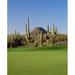 Saguaro cacti in a golf course Troon North Golf Club Scottsdale Maricopa County Arizona USA Poster Print (28 x 22)