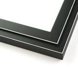 20x30 - 20 x 30 Black and White Pinstripe Solid Wood Frame with UV Framer s Acrylic & Foam Board