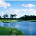 Pond in a golf course Carolina Golf and Country Club Charlotte North Carolina USA Poster Print (24 x 24)