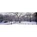 Bare trees during winter in a park Central Park Manhattan New York City New York State USA Poster Print (18 x 6)