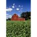 Soybean Field And Red Barn Near Anola Manitoba Poster Print