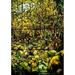 A Leaded Glass Window of a Woodland Scene Poster Print by Tiffany Studios