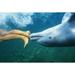 Hawaii Bottlenose Dolphin (Tursiops Truncatus) Swimming Upside-Down With Person Only Feet Showing Underwater View. Poster Print (19 x 12)