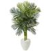 4.5 Golden Cane Palm Tree in White Oval Planter